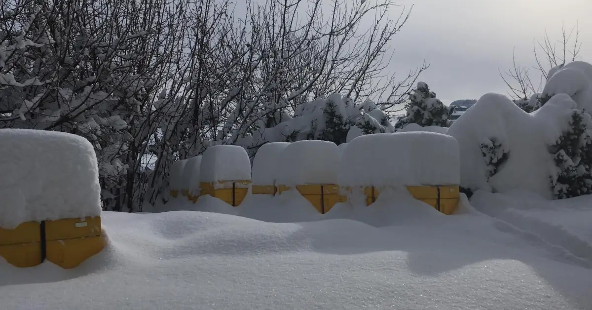 Bienenbeuten im Schnee und von Schnee bedeckt